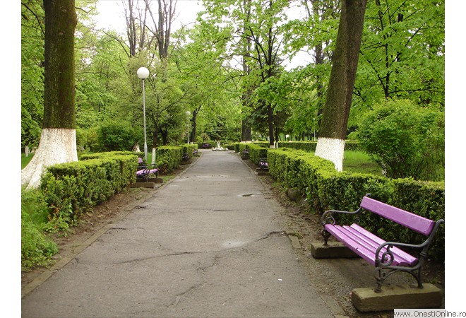 DSC00006