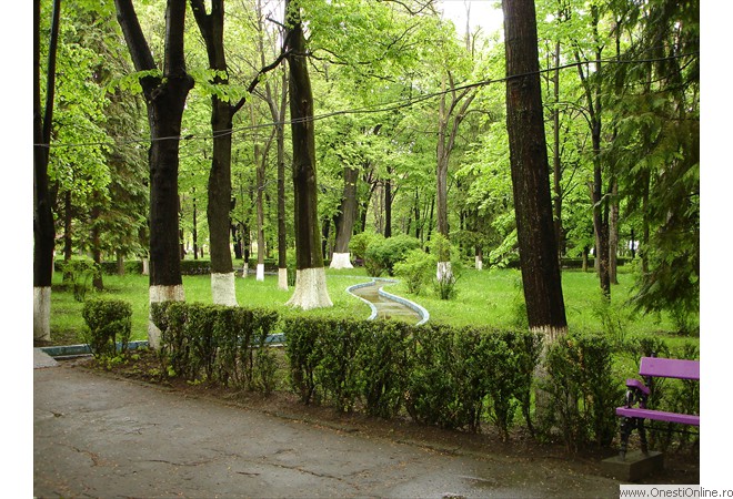 DSC00010