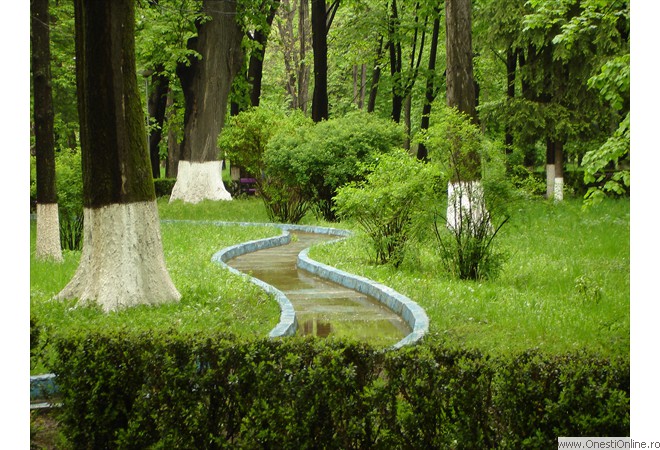 DSC00011