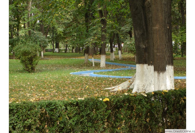 DSC00027