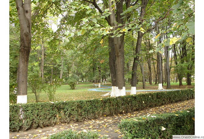 DSC00028
