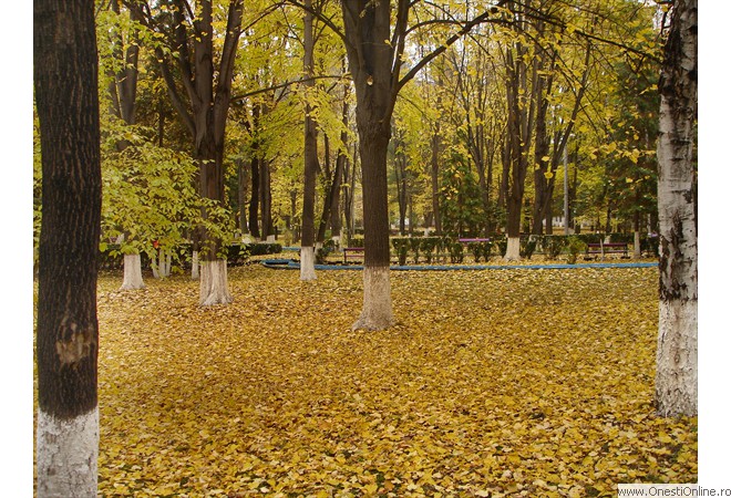 DSC00033
