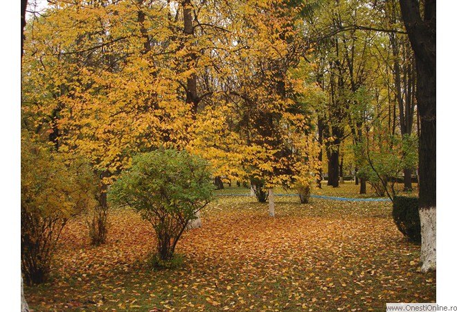 DSC00035