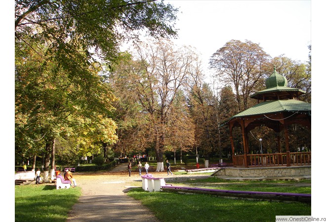 DSC00051
