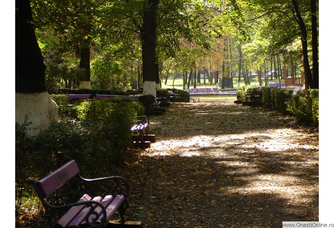 DSC00056