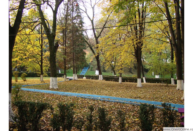 DSC07565