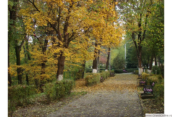 DSC07569