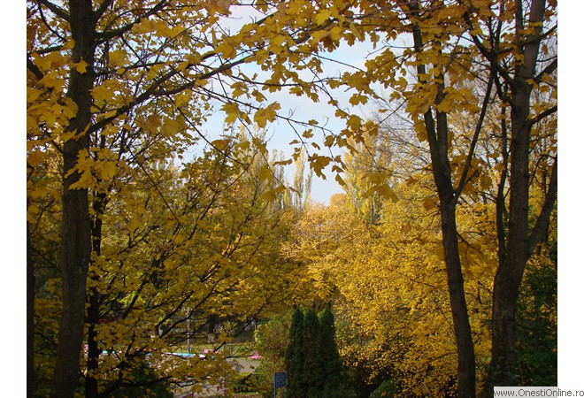 DSC07595