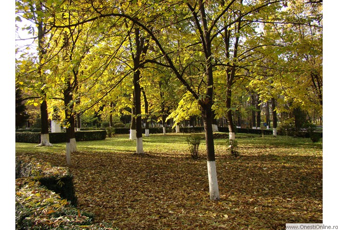 DSC07606