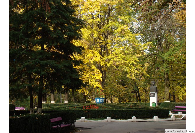 DSC07608