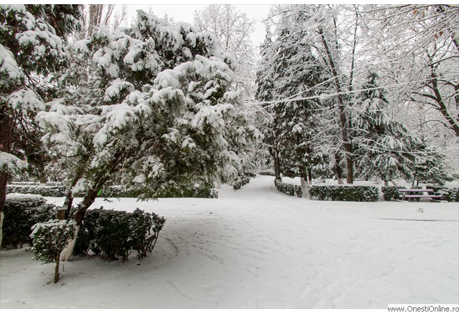 Parc (1)
