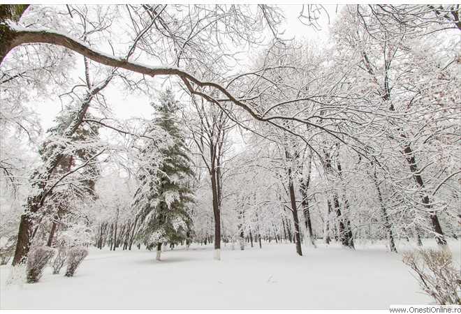 Parc (10)