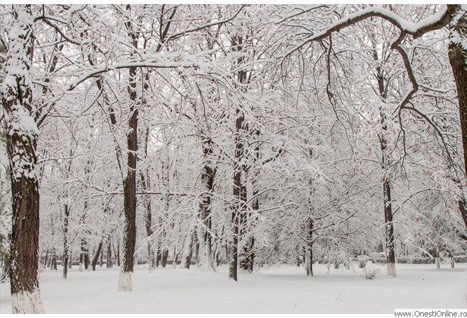 Parc (11)