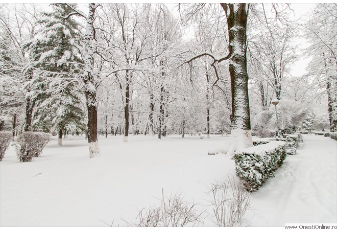 Parc (12)