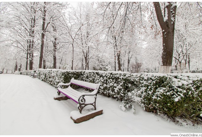 Parc (13)