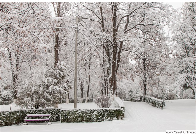 Parc (14)