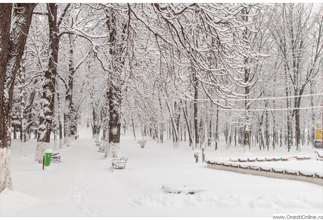 Parc (15)