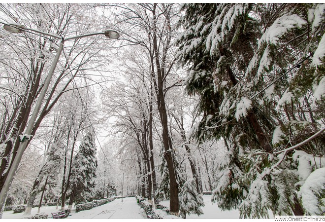 Parc (2)