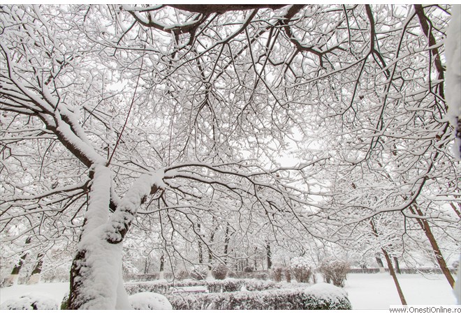 Parc (21)