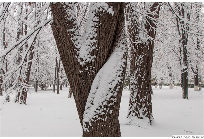 Parc (24)