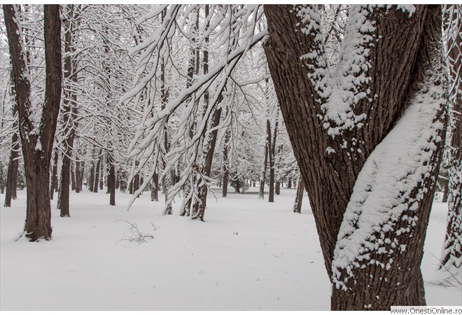 Parc (25)