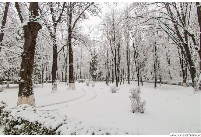 Parc (3)