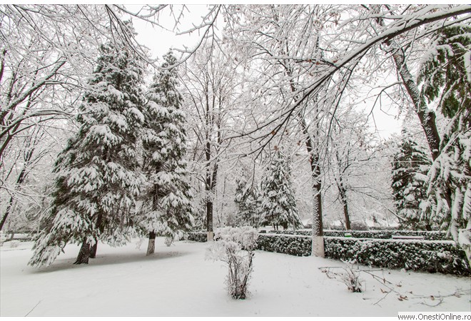 Parc (4)