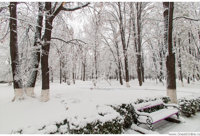 Parc (5)