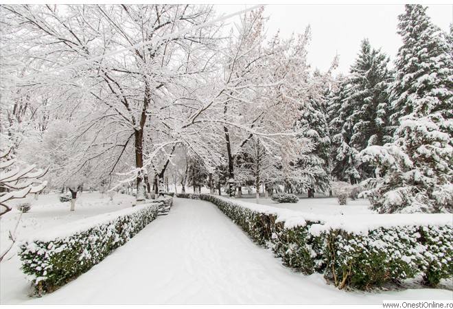 Parc (6)