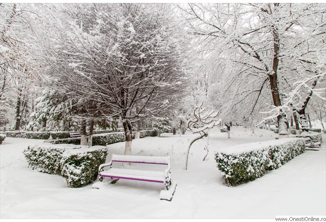 Parc (7)