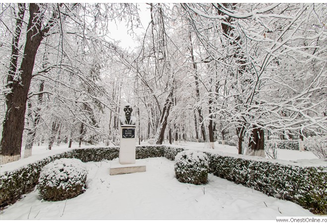 Parc (9)