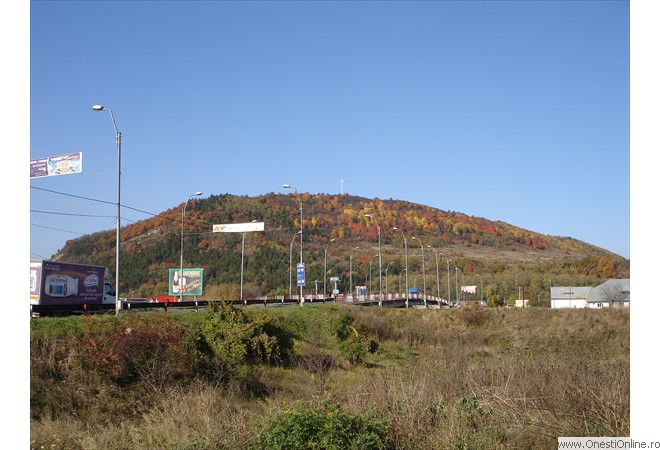 2006.10.26 - Perchiu 01