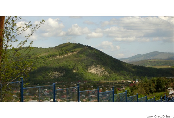 DSC00003