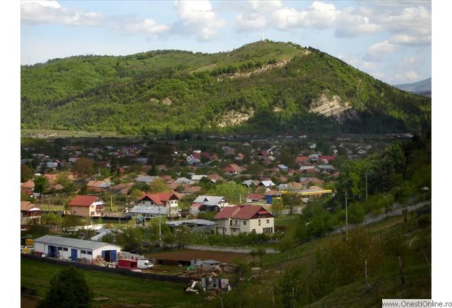 DSC00007