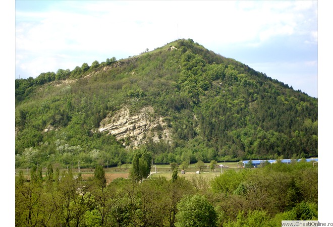 DSC00011