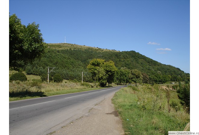 DSC00012