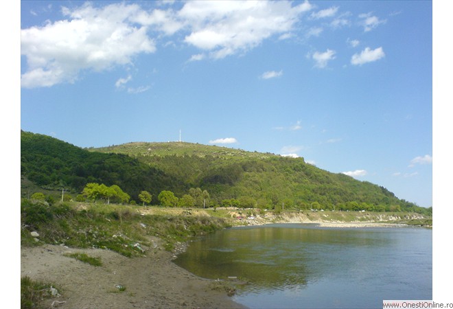DSC06278
