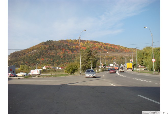 DSC07631