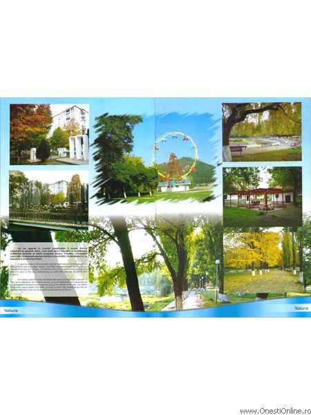 Brosura Primarie 12