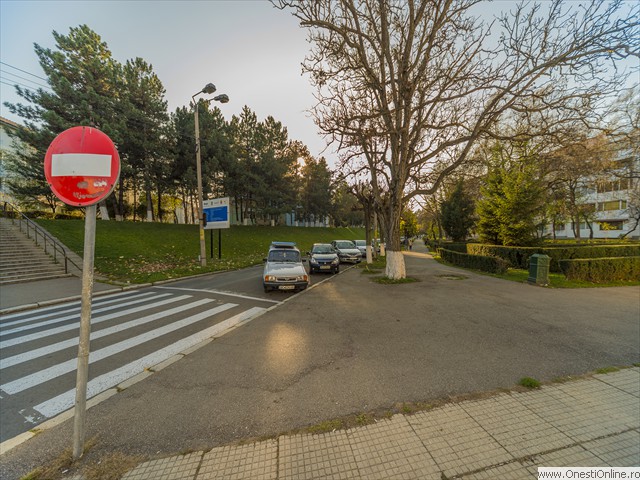 Rosetti 17