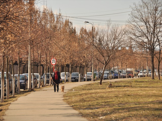 Strada Stadionului 03