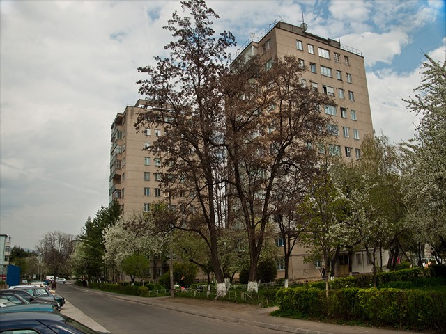 Strada Tineretului - Trei Magari 02