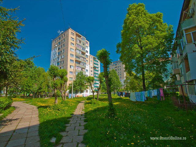 Strada Tineretului - Trei Magari 03 (2)
