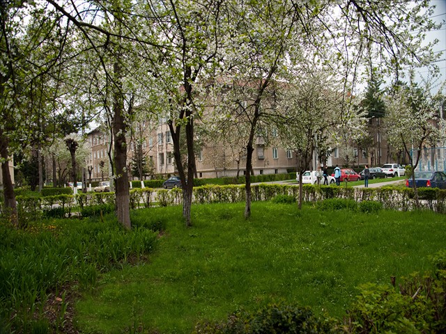 Strada Tineretului - Trei Magari 04