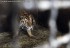 Zoo Onesti - Plecare 01